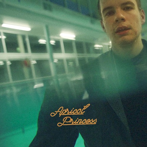 Rex Orange County — Apricot Princess